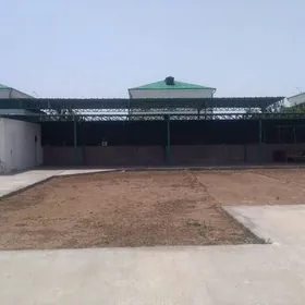 Taze zaman satlk jay