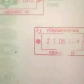 Паспорт йитди