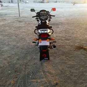 Fekon FK200-14G 2024