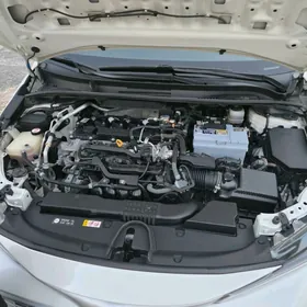 Toyota Corolla 2019