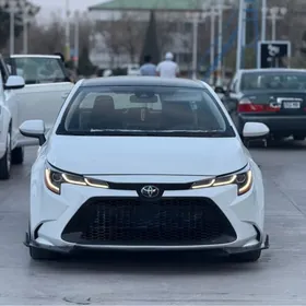 Toyota Corolla 2019