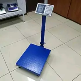 Terezi 100kg весы