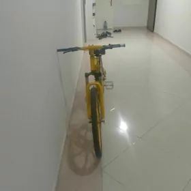 bmw akdan sary reňke öwrlen