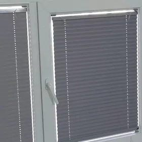 zalyuz jayuz plise turkmenbasy