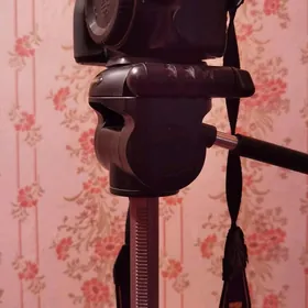 Nikon