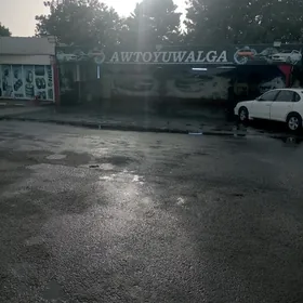 Moýja  işkär  gerek  işlan