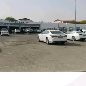 moyka oglan isgar gerek