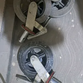 lesa teker taze
