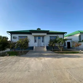 taze zaman satlyk jay