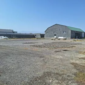 Satlyk Onumçūlūk 1 Ga Taýyn