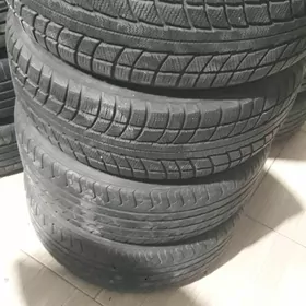 R16 limited 2 diska balon