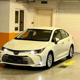 Toyota Corolla 2020