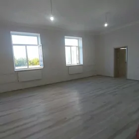 элитка Г.туркменабат