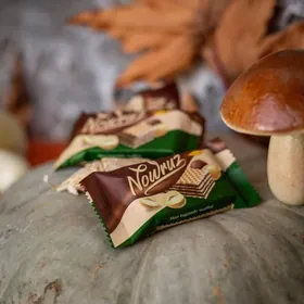 HASAR “Nowruz” wafli