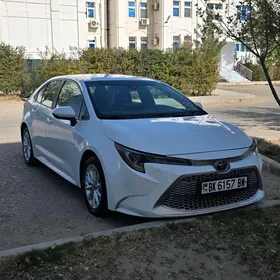 Toyota Corolla 2020