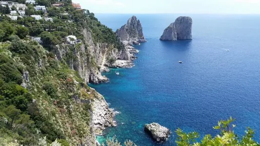 Italiýanyň kenarlarynda çuň suwlardaky merjenleriň täze görnüşleri tapyldy