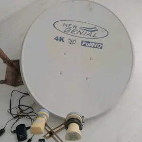 antenanten