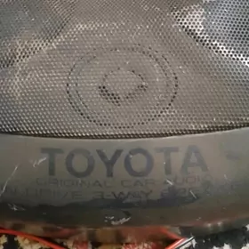 Toyota pioner kolonka