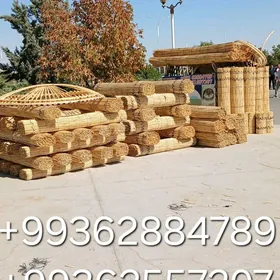 Gamyş ak öÿ gara öÿ