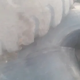 Teker 23.5-25 pagruşşik