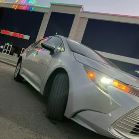 Toyota Corolla 2024
