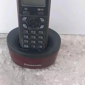 Telefon damaŝniÿ