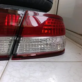 nissan Maxima zapjast