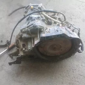 karopka karolla 2001