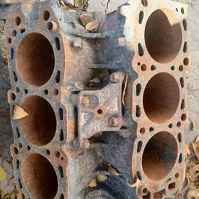 mitsubishi pajera kia sorenta