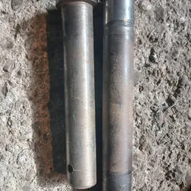 Kruglÿak gladki кругляк гладки