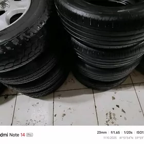 KIYA HAYS SENNNA PRIWYA TEKER