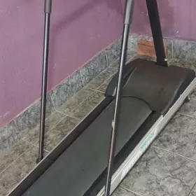 begawoý daroşga