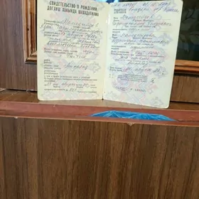 dogluş hakynda şahadatnama