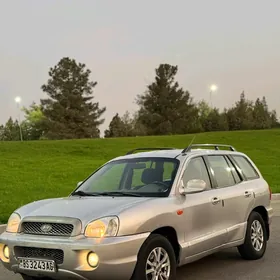 Hyundai Santa Fe 2004