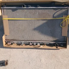 Babicka Radiator