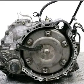 karobka 3.5 okuz kelle