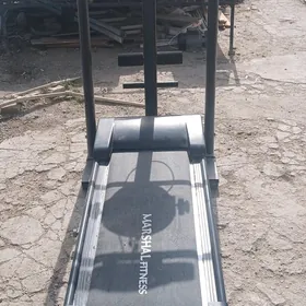 БЕГАВОЙ ДАРОШКА