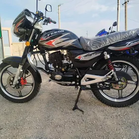 Fekon FK200-14G 2024
