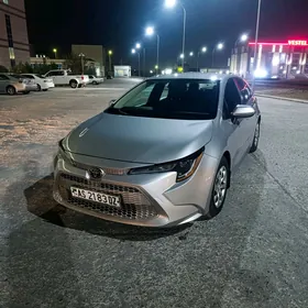 Toyota Corolla 2020