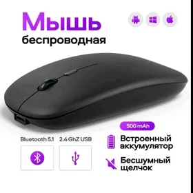 BLUTUZ MYSKA