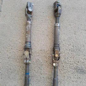 Corollo rul  Tage 2008.