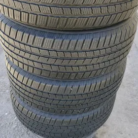 245 55 19 MICHELIN