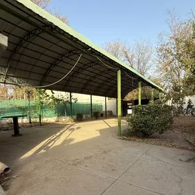 Ak Altyn 7 sotok plan jay