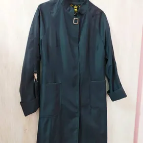 firmenny plasowka Tazeje