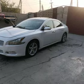 Nissan Maxima 2010