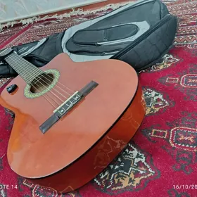 classic  gitara