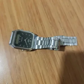 Casio sagat