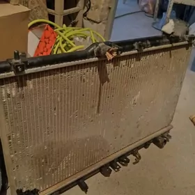 radiator babycka