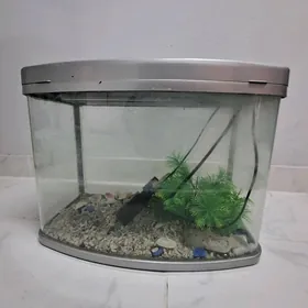 Akwarum 40 lit