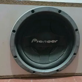 pioneer